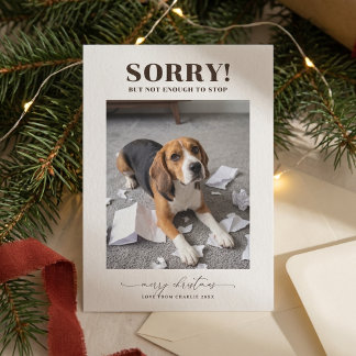 Carte de Noël moderne et amusante avec photo de ch