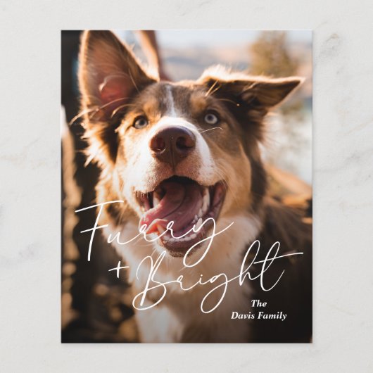 Carte de Noël moderne pour chien mignon (Devant)