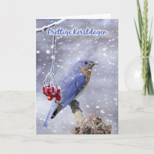 carte de Noël néerlandaise - oiseau bleu avec des