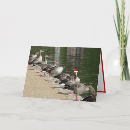 Carte de Noël Odd Goose (Devant)