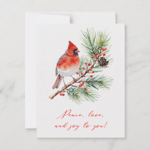 Carte de Noël Oiseau Rouge sur Branche de Houx