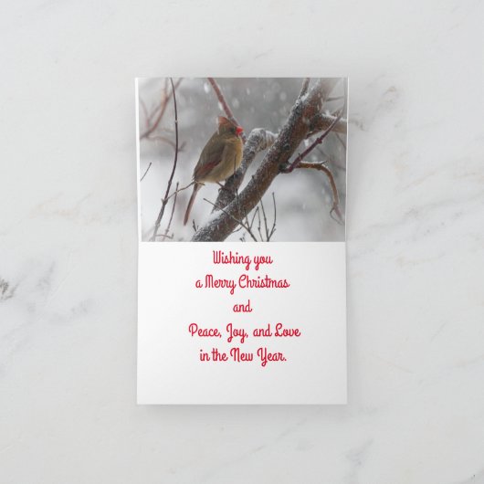 Carte de Noël Oiseaux dans la Neige (Intérieur)