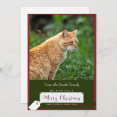 Carte de Noël Orange Chat (Devant / Derrière)
