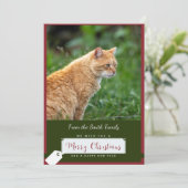 Carte de Noël Orange Chat (Debout devant)