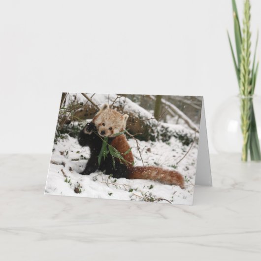 Carte de Noël - panda rouge 5 (Devant)