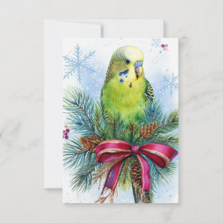 Carte de Noël Parakeet Ribbon de Noël