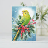 Carte de Noël Parakeet Sucre de canne (Debout devant)