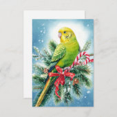 Carte de Noël Parakeet Sucre de canne (Devant / Derrière)