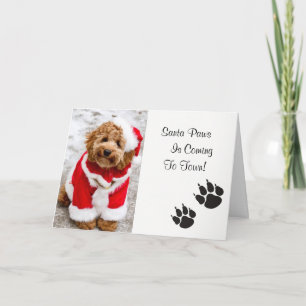 Carte de Noël père Noël Paws