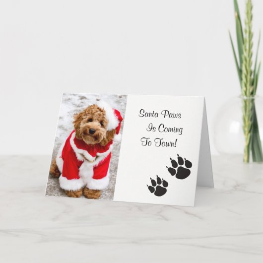 Carte de Noël père Noël Paws (Devant)