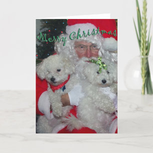 Carte de Noël père Noël & Poodles