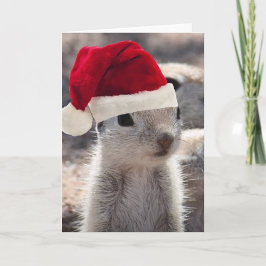 Carte de Noël père Noël Squirel (Devant)