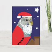 Carte de Noël Perruche Père Noël (Devant)