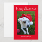 Carte de Noël personnalisée pour chien (Devant / Derrière)