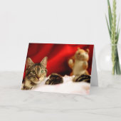Carte de Noël Pet Cat (Devant)