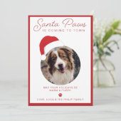 Carte de Noël photo avec Santa Paws pour animaux d (Debout devant)