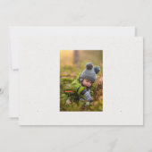 Carte de Noël photo de forêt (Dos)