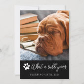 Carte de Noël photo de l'année de ruff (Devant)