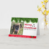 Carte de Noël photo personnalisée des Chiens (Fleur jaune)