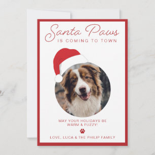 Carte de Noël photo pour animaux de compagnie Sant
