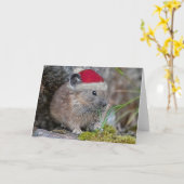 Carte de Noël Pika (Fleur jaune)