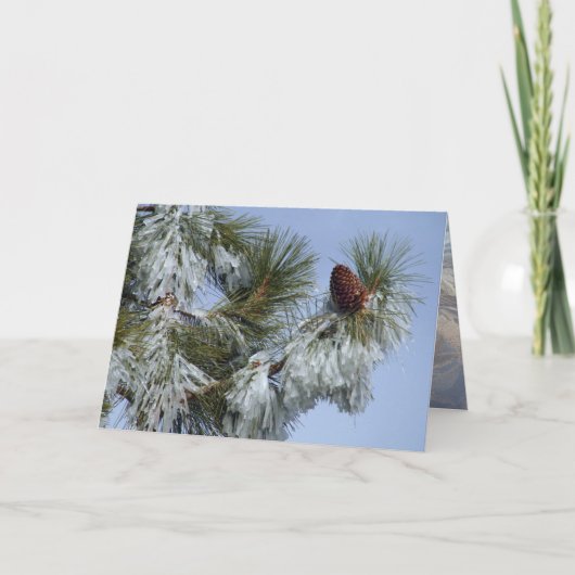 Carte de Noël - Pinecone (Devant)