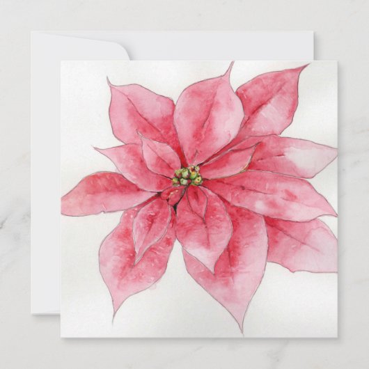 Carte de Noël Pink Poinsettia (Devant)