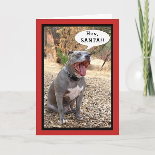 Carte de Noël Pitbull Hey Père Noël (Devant)