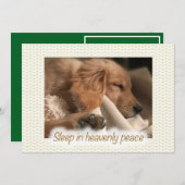 Carte de Noël plate avec un chiot paisible doré (Devant / Derrière)