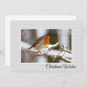 Carte de Noël plate de Robin d'hiver (Devant / Derrière)