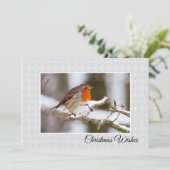 Carte de Noël plate de Robin d'hiver (Debout devant)