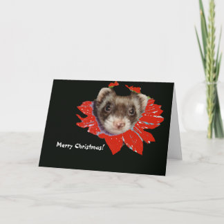 Carte de Noël Poinsettia Ferret