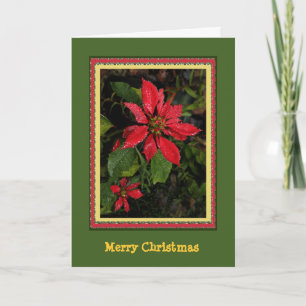 Carte de Noël Poinsettia personnalisable