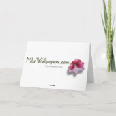 Carte de Noël Poinsettias Rouge (Vierge à l'intéri (Dos)