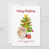 Carte de Noël Pomeranian (Devant)