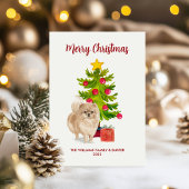 Carte de Noël Pomeranian