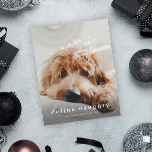 Carte de Noël pour animal de compagnie drôle Défin