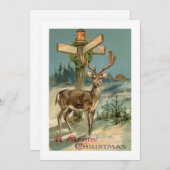 Carte de Noël pour cerfs d'hiver vintage (Devant / Derrière)