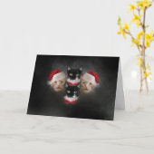 Carte de Noël pour chat Catsody bohémienne (Fleur jaune)