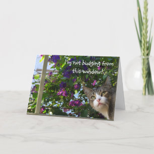 Carte de Noël pour chat de Pékin