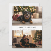 Carte de Noël pour chien avec typographie Joyeuses (Devant)