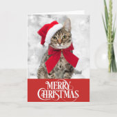 Carte de Noël pour chien de chat (Devant)