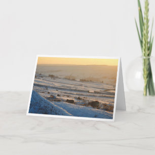 Carte de Noël pour les moutons d'hiver