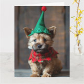 Carte de Noël pour marionnettes Norwich Terrier El (Fleur jaune)