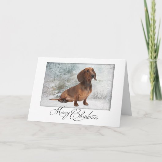 Carte de Noël pour teckel (Devant)