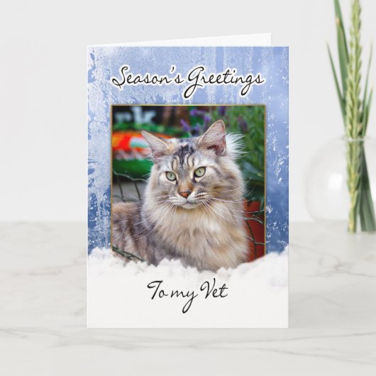 Carte de Noël pour vétérinaire - carte de Noël pou (Devant)