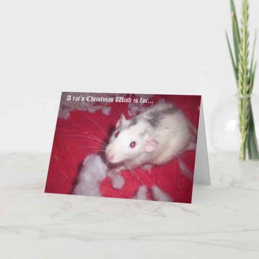 Carte de Noël POUR vos rats de compagnie! (Devant)