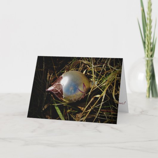 Carte de Noël "Prairie Cheer" (Devant)