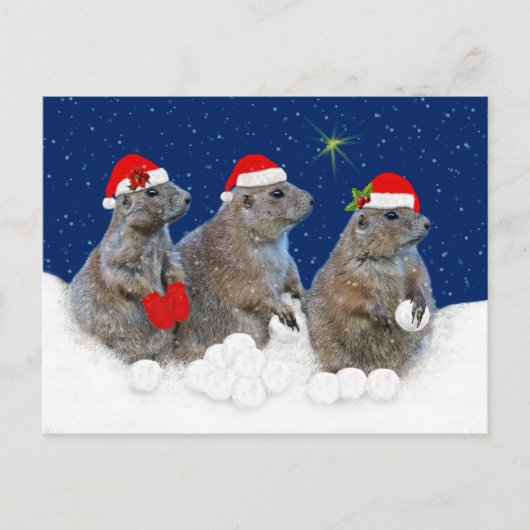 Carte de Noël : Qu'il neige (Devant)