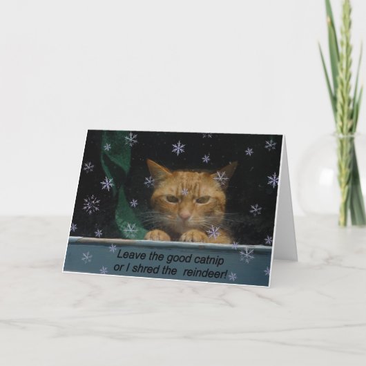 Carte de Noël 'Rhe Réché Réché Reinder' (Devant)